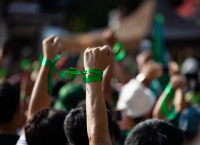 Πράσινη ανάπτυξη, μαύρο παρασκήνιο