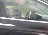 Βίντεο σοκ: Οδηγός κοιμάται στο τιμόνι ενός Tesla, που πάει με 90 χιλιόμετρα