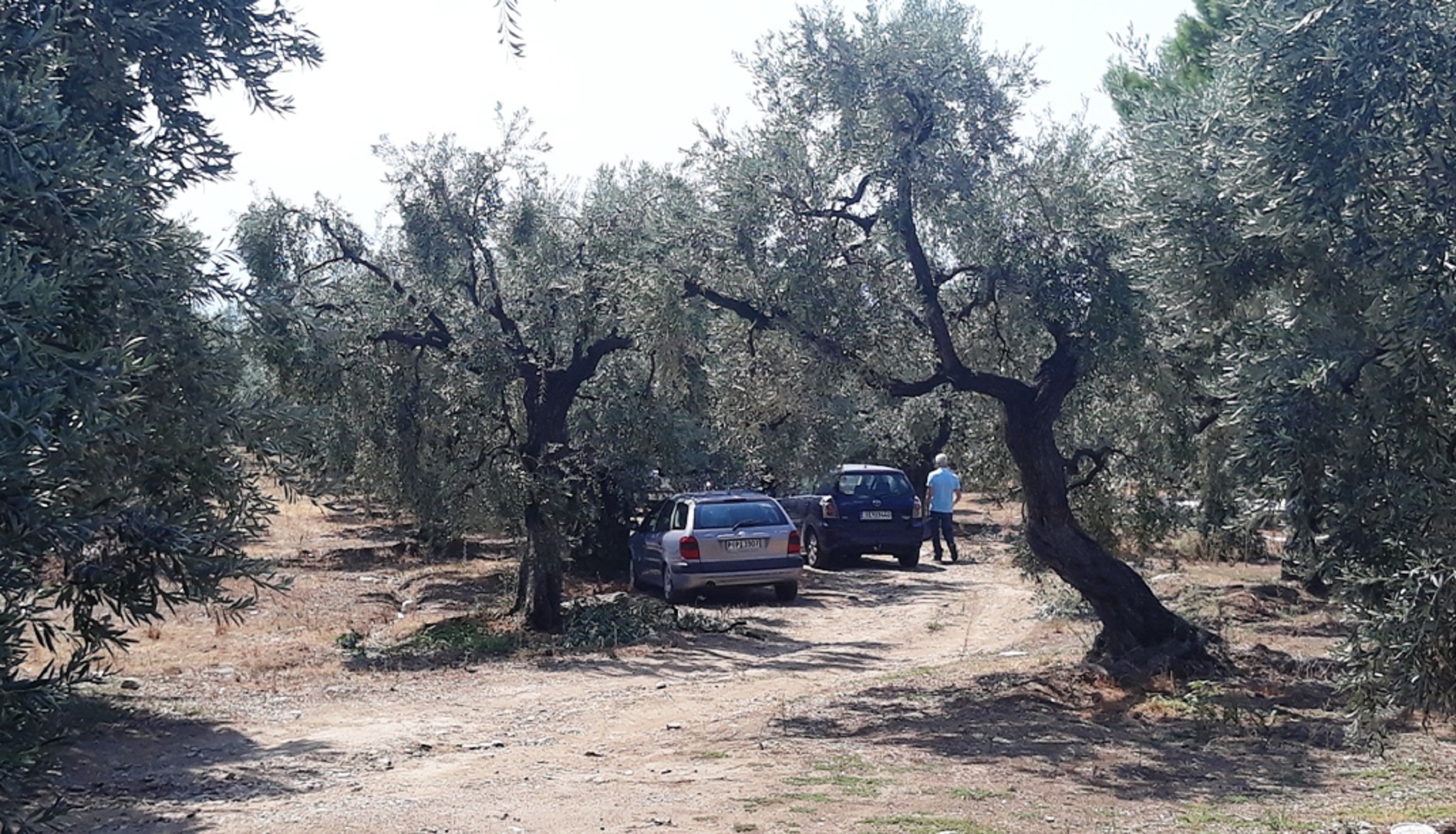 Βόλος: Θρίλερ με απανθρακωμένο πτώμα σε αυτοκίνητο