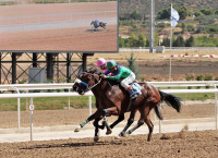 Markopoulo Park: Τρόπαιου Πηλίου και τζακ ποτ στο ΣΚΟΡ 6 Markopoulo Park: Τρόπαιου Πηλίου και τζακ ποτ στο ΣΚΟΡ 6