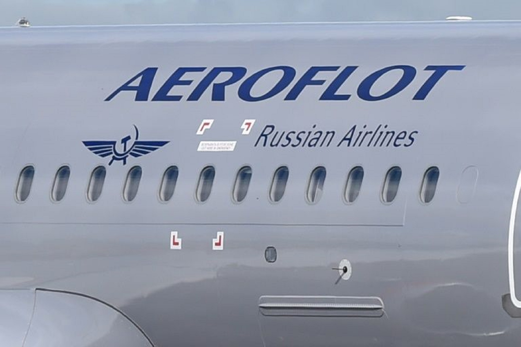 Ρωσία: Επιβάτης της Aeroflot έχασε όλα τα δωρεάν μίλια του εξαιτίας του γάτου του