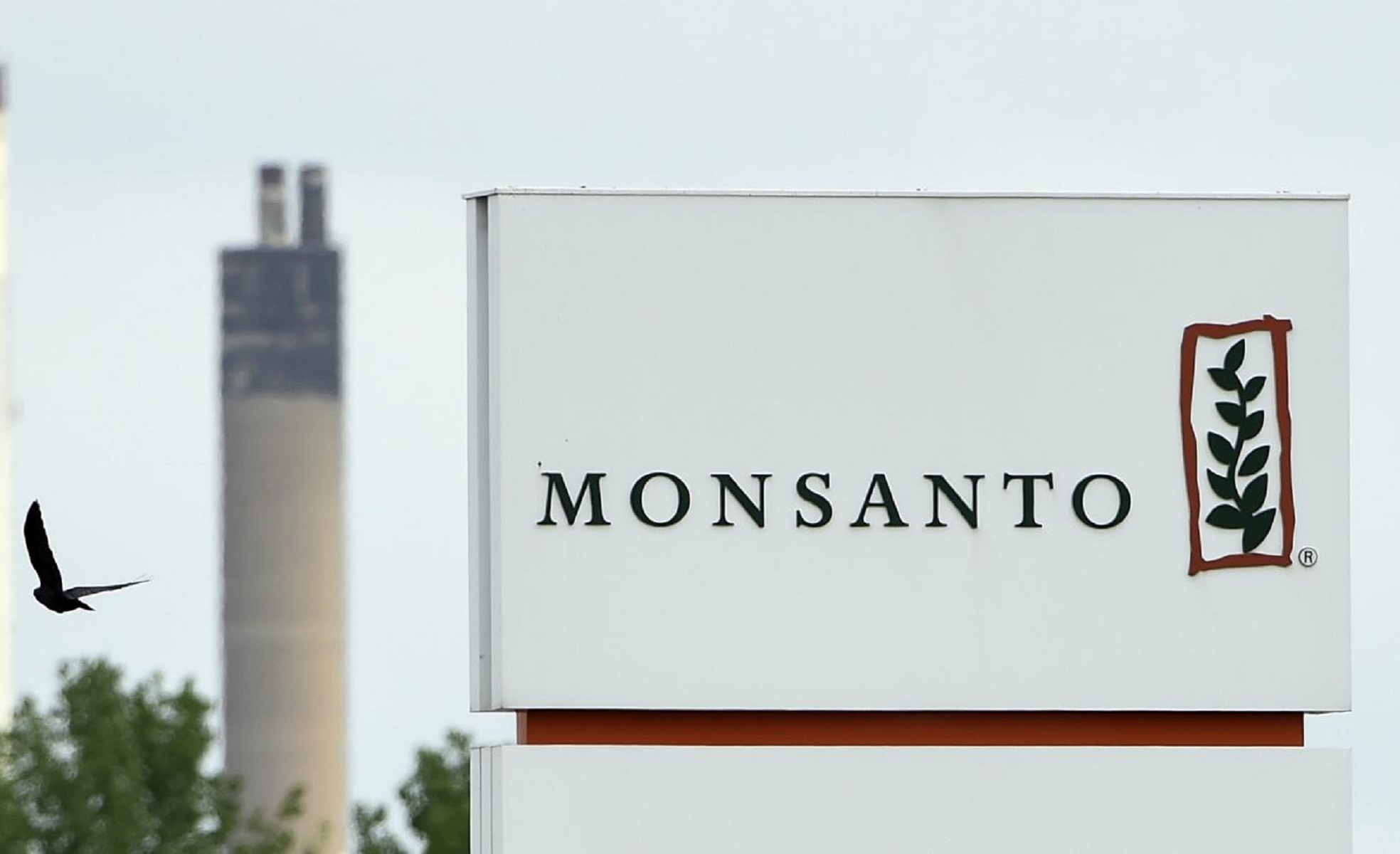 Monsanto: Παραδέχθηκε τη χρησιμοποίηση απαγορευμένου ζιζανιοκτόνου στη Χαβάη