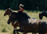 Κλέφτης Αλόγων: Του Χανς Πέτερ Μόλαντ [vid]