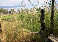 Φθιώτιδα: Κτηνωδία – Κρέμασαν σκύλο με σύρμα από το κιόσκι [pics-vid]