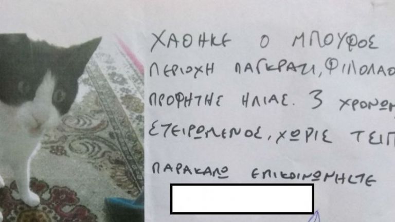 Μυθική απάντηση σε ανακοίνωση για χαμένο γάτο στο Παγκράτι που τον έλεγαν Μπούφο [pic]