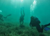 “Αναδάσωση” των βυθών με την πειραματική επαναφύτευση θαλάσσιων λιβαδιών ποσειδωνίας