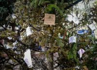 Εξάρχεια: Στολίστηκε τελικά το δέντρο με… δακρυγόνα και το σήμα της Αναρχίας [pics]