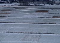 Πλαταιές: Εντοπίστηκαν δυο άνδρες χωρίς τις αισθήσεις τους