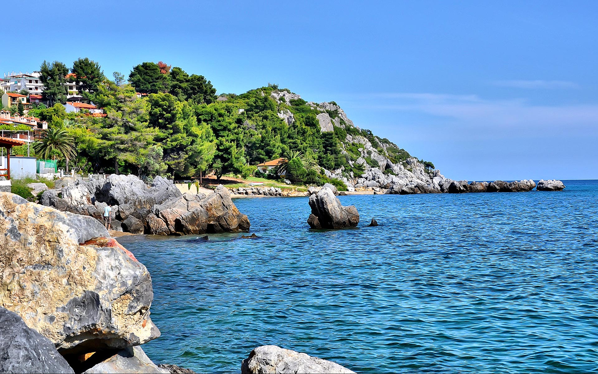 Κασσάνδρα