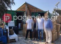 Αποκάλυψη pagenews.gr: Ο δικηγόρος, η ΜΚΟ και η ταρίφα των 950 ευρώ