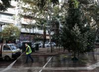 Εξάρχεια: Έβαλαν καινούργιο δέντρο στην πλατεία [pics]