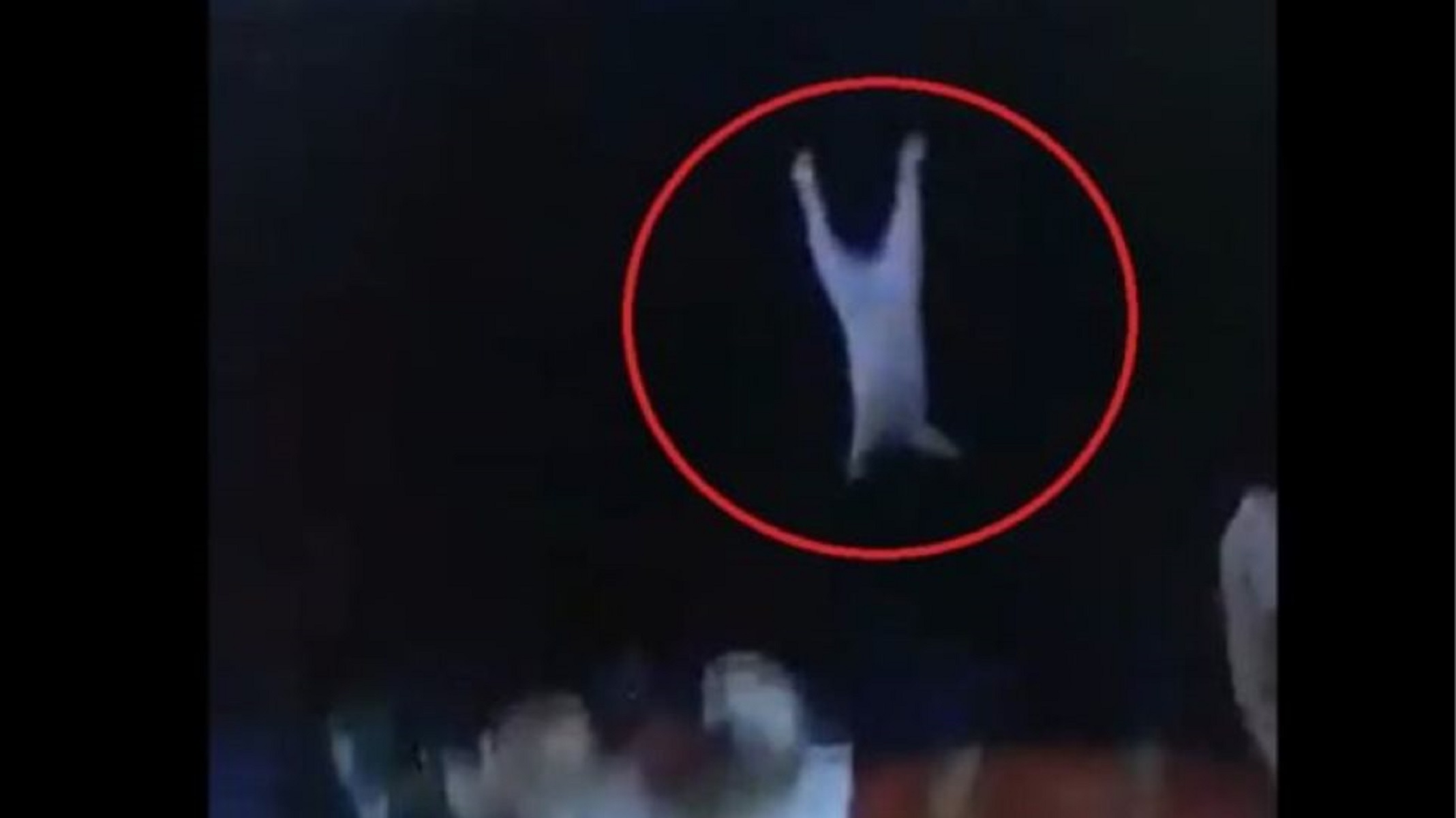 Σαλαμίνα: Ανήλικος πέταξε γάτα από τρία μέτρα σε βράχια [vid]