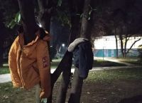 Έδεσσα: Κρέμασαν μπουφάν στα δέντρα για όσους τα χρειάζονται Έδεσσα: Κρέμασαν μπουφάν στα δέντρα για όσους τα χρειάζονται