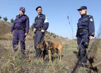 Συνοριοφύλακες προσλήψεις: Τρέχουν οι αιτήσεις για 746 θέσεις εργασίας στην αστυνομία Συνοριοφύλακες προσλήψεις: Τρέχουν οι αιτήσεις για 746 θέσεις εργασίας στην αστυνομία
