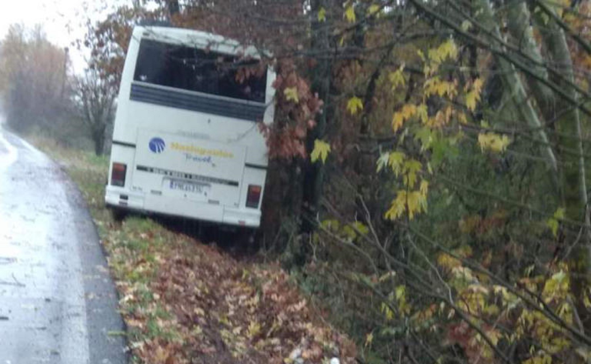 Καλαμπάκα: Τροχαίο ατύχημα με λεωφορείο με 37 μαθητές να βγαίνει εκτός πορείας