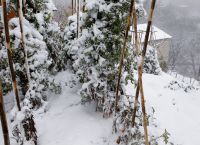 Καιρός: Στα “λευκά” πολλές περιοχές στη Βόρεια Ελλάδα, αλλά και η Πάρνηθα