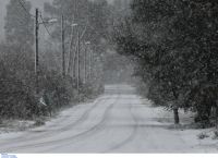 Πάρνηθα: Χιόνι και τσουχτερό κρύο [vid]