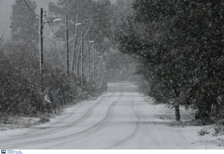 Πάρνηθα: Χιόνι και τσουχτερό κρύο [vid]