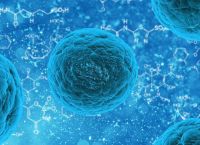 Νόσος Lyme: Τι είναι και πώς μεταδίδεται – Τα ύποπτα συμπτώματα Νόσος Lyme: Τι είναι και πώς μεταδίδεται – Τα ύποπτα συμπτώματα