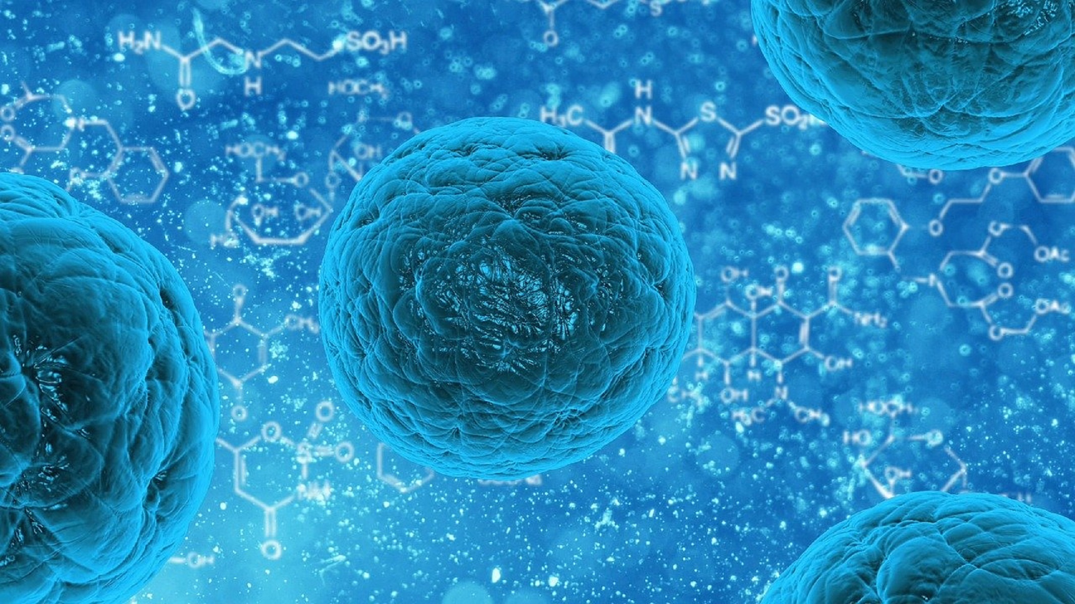 Νόσος Lyme: Τι είναι και πώς μεταδίδεται – Τα ύποπτα συμπτώματα