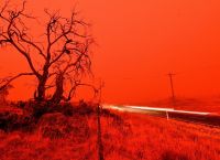 Αυστραλία Φωτιά: Η Μετεωρολογική Υπηρεσία δεν προβλέπει πτώση της θερμοκρασίας