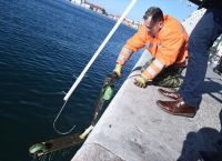 Θεσσαλονίκη: “Ψάρεψαν” πενήντα πατίνια από τον Θερμαϊκό [pics]