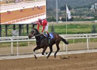 Μοιράζουν μεγάλα κέρδη οι ιπποδρομίες στο Markopoulo Park