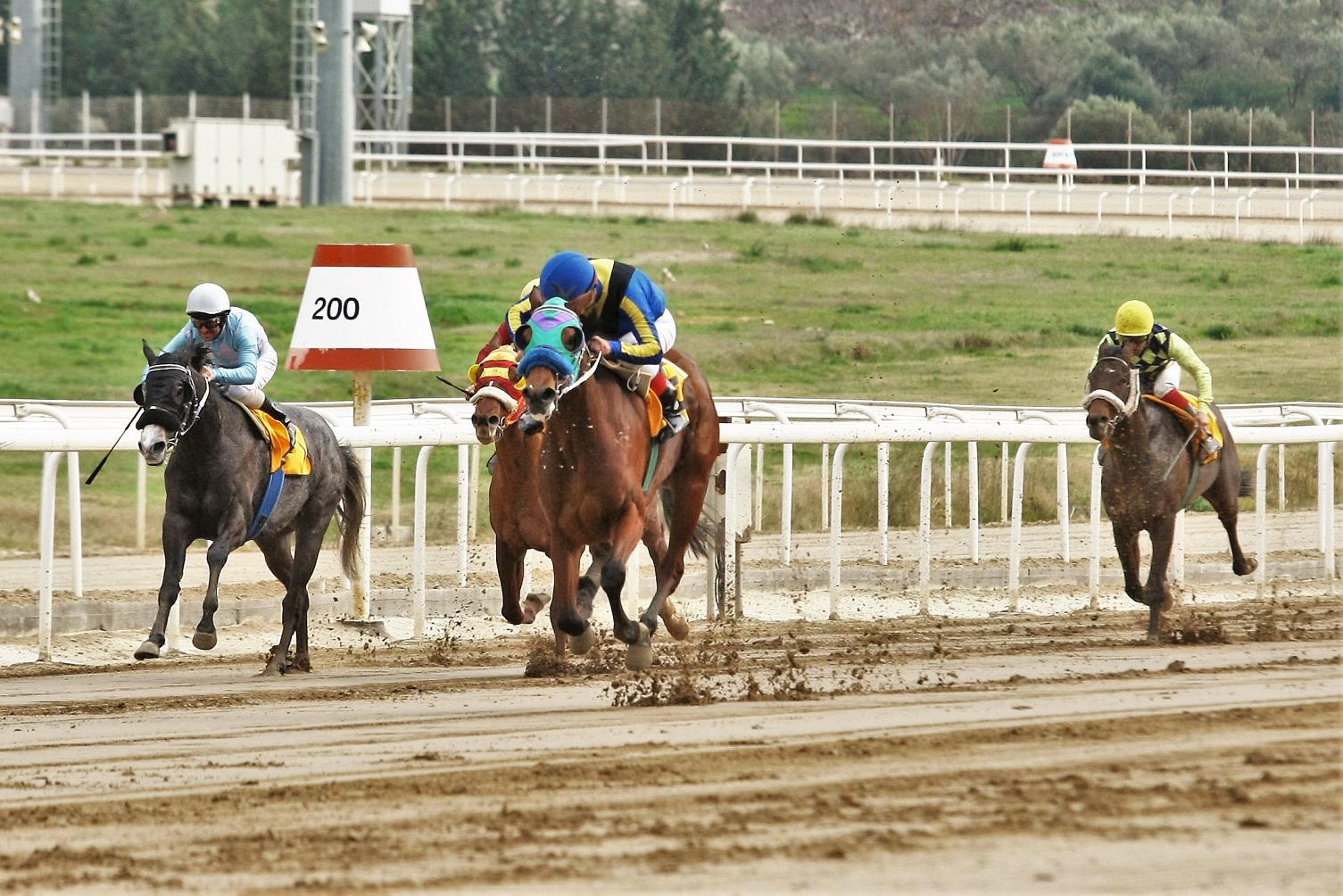 Markopoulo Park: Μοίρασε κέρδη η πρώτη ιπποδρομιακή συγκέντρωση της χρονιάς
