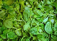 Ντόπινγκ: Το σπανάκι είναι κι επίσημα ύποπτη ουσία