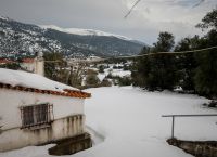 Βίλια Αττικής: Θάφτηκαν κάτω από το χιόνι – Εντυπωσιακές φωτογραφίες Βίλια Αττικής: Θάφτηκαν κάτω από το χιόνι – Εντυπωσιακές φωτογραφίες
