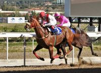 Markopoulo Park: Εννέα μεγάλοι νικητές στο τζακ ποτ του ΣΚΟΡ 6 Markopoulo Park: Εννέα μεγάλοι νικητές στο τζακ ποτ του ΣΚΟΡ 6