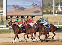 Το δυναμικό comeback του ιπποδρόμου – Πώς οι ιπποδρομιακές Κυριακές κερδίζουν όλο και περισσότερο κόσμο