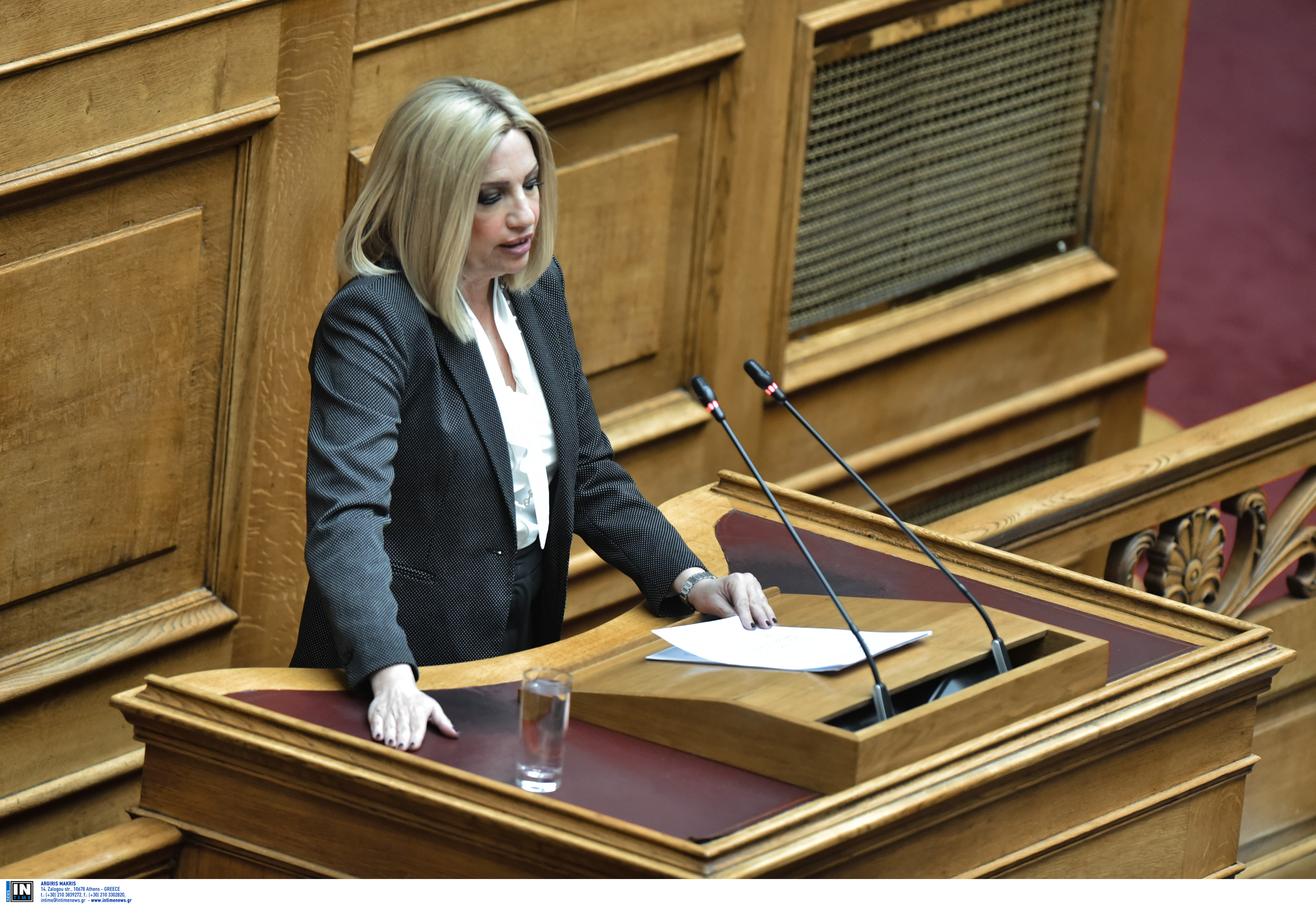 Φώφη Γεννηματά ΚΙΝΑΛ: Έφυγαν τα παπαγαλάκια του ΣΥΡΙΖΑ και ήρθαν της Νέας Δημοκρατίας