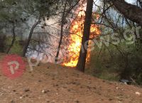 Μυτιλήνη – Μεταναστευτικό: Επεισόδια και φωτιές στο Διαβολορέμα