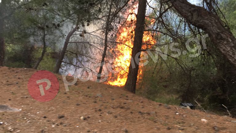 Μυτιλήνη – Μεταναστευτικό: Επεισόδια και φωτιές στο Διαβολορέμα