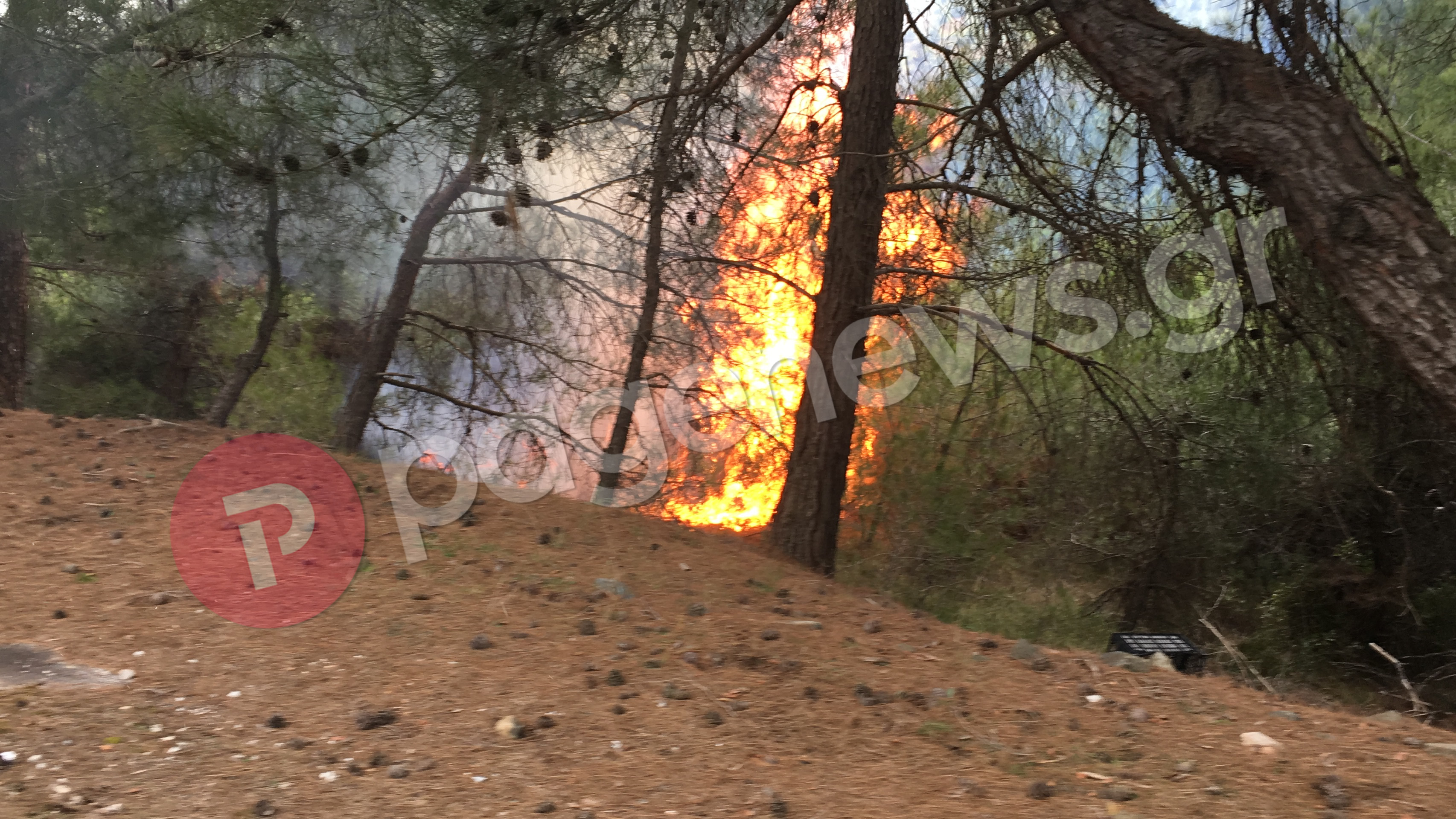 Μυτιλήνη – Μεταναστευτικό: Επεισόδια και φωτιές στο Διαβολορέμα