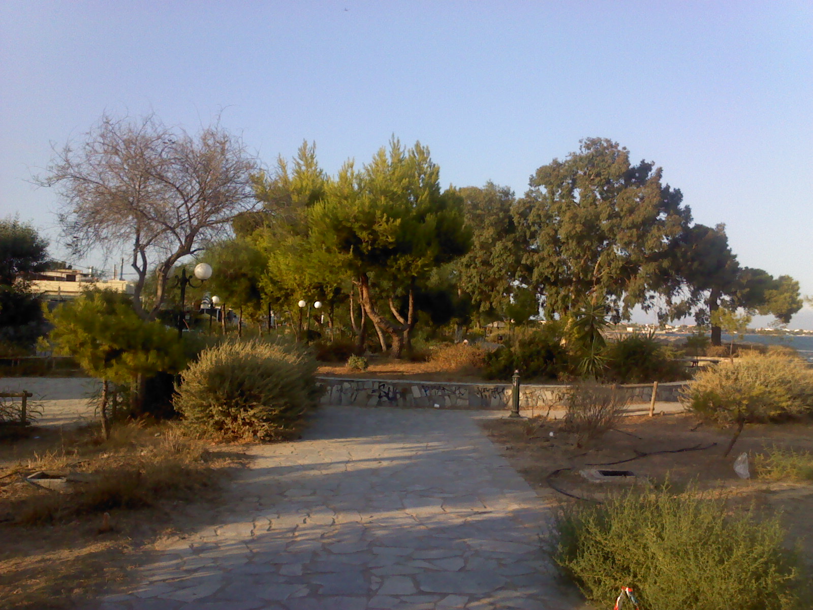 Αρτέμιδα