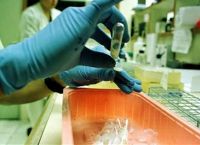 Παραγουάη: 16 θάνατοι εξαιτίας του δάγκειου πυρετού