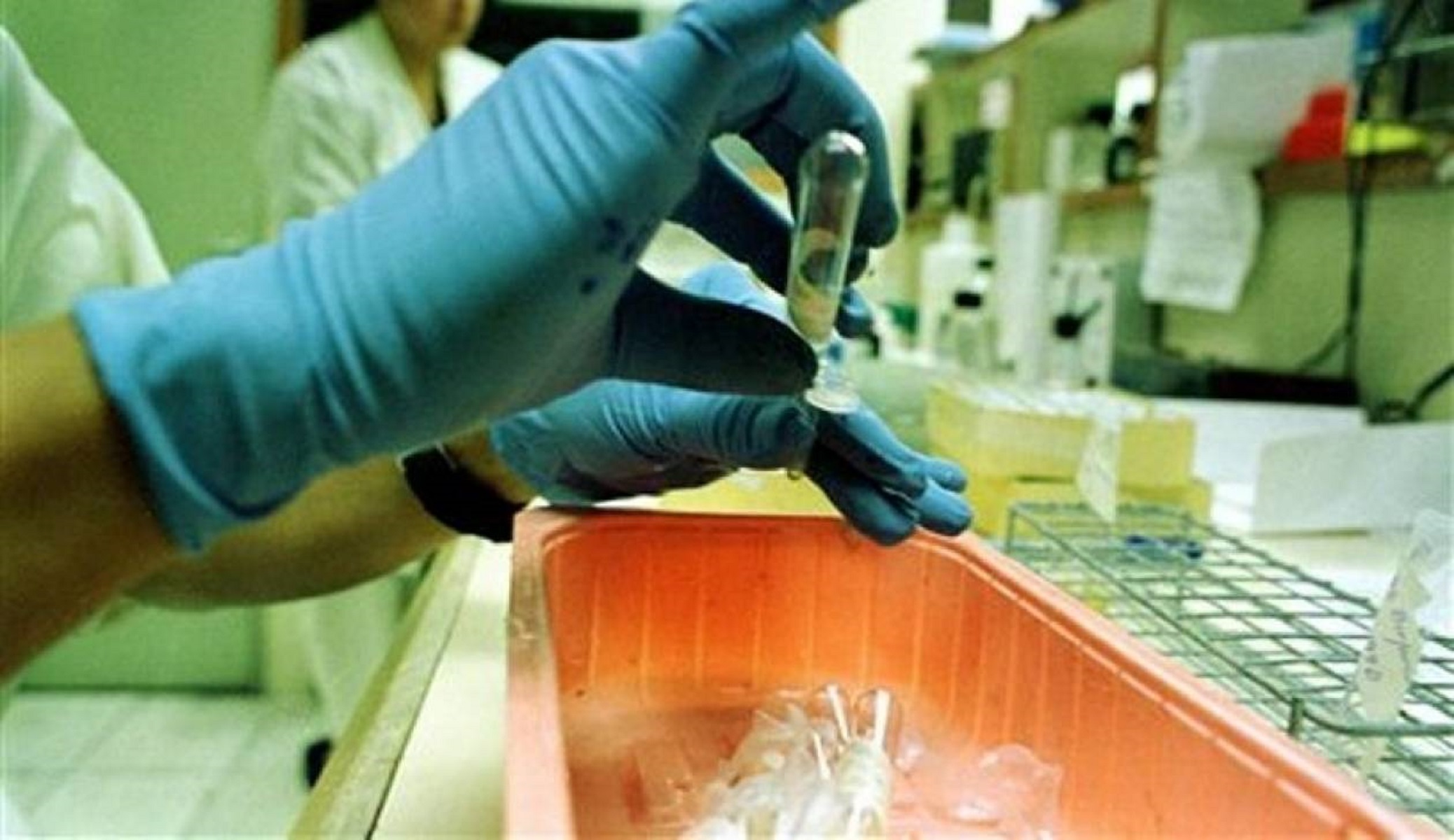 Παραγουάη: 16 θάνατοι εξαιτίας του δάγκειου πυρετού