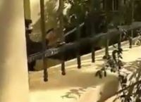 ΑΣΟΕΕ: Όπλο μέσα στο κτίριο τράβηξε ειδικός φρουρός [vid]
