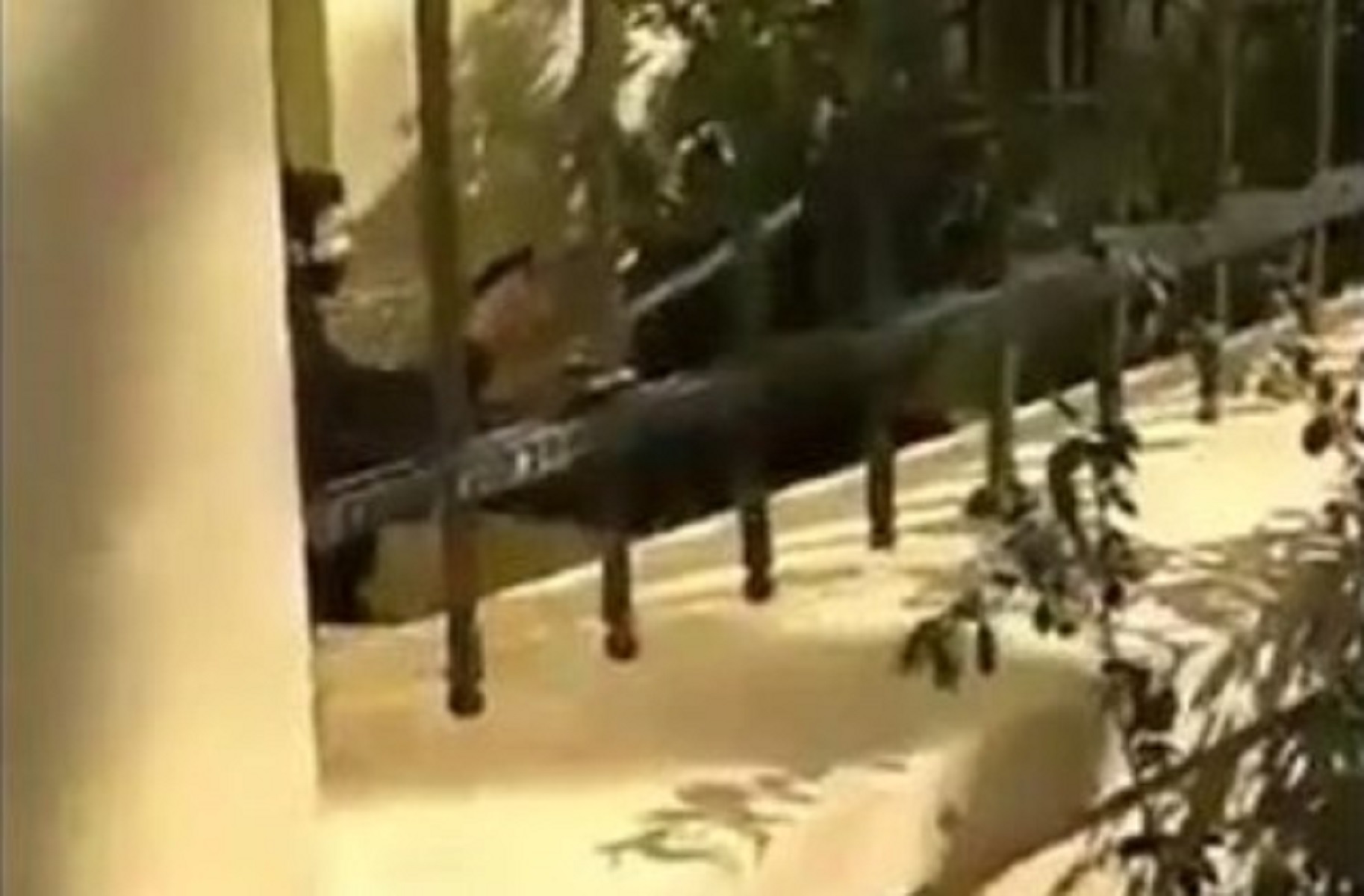 ΑΣΟΕΕ: Όπλο μέσα στο κτίριο τράβηξε ειδικός φρουρός [vid]