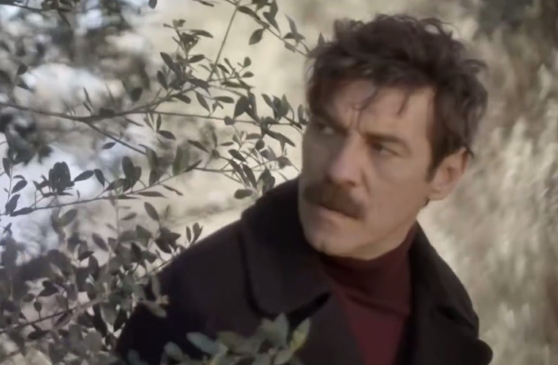Άγριες Μέλισσες spoiler 21/4: Η δήλωση του Κυπραίου θα φέρει τα πάνω κάτω