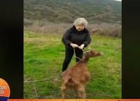 Κορονοϊός: Γιαγιά βγάζει βόλτα… την κατσίκα της [vid]