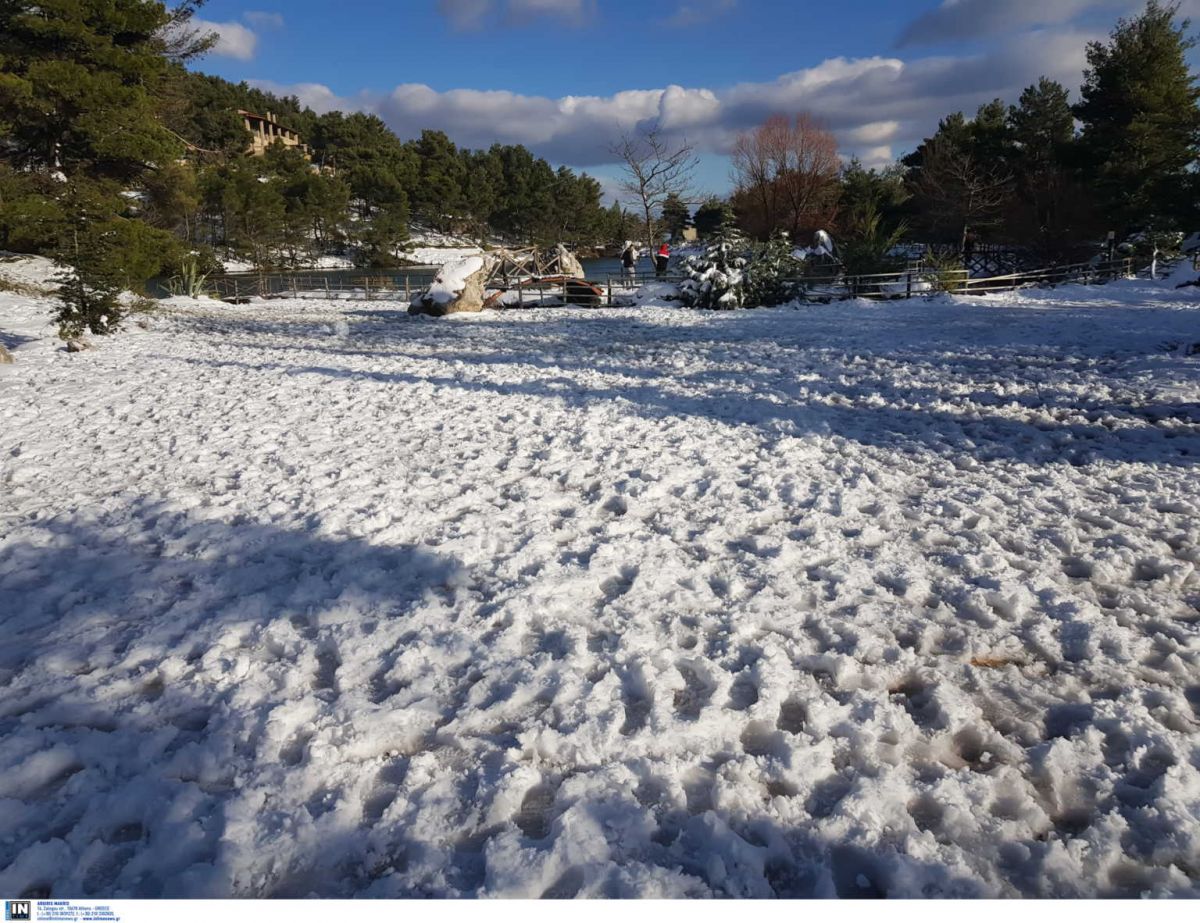 Δυτική Μακεδονία: Χιονόπτωση σε όλη την περιφέρεια από νωρίς το πρωί