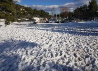 Δυτική Μακεδονία: Χιονόπτωση σε όλη την περιφέρεια από νωρίς το πρωί