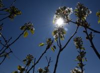 Απρίλιος 2020: Ο φετινός ήταν από τους πιο θερμούς που έχουν καταγραφεί ποτέ