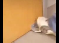 Έτσι θα ανοίγουμε τις πόρτες χωρίς να τις ακουμπάμε με τα χέρια μας μετά την καραντίνα