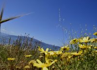 Καιρός σήμερα: Η πρόγνωση για την Τρίτη 9 Ιουνίου 2020