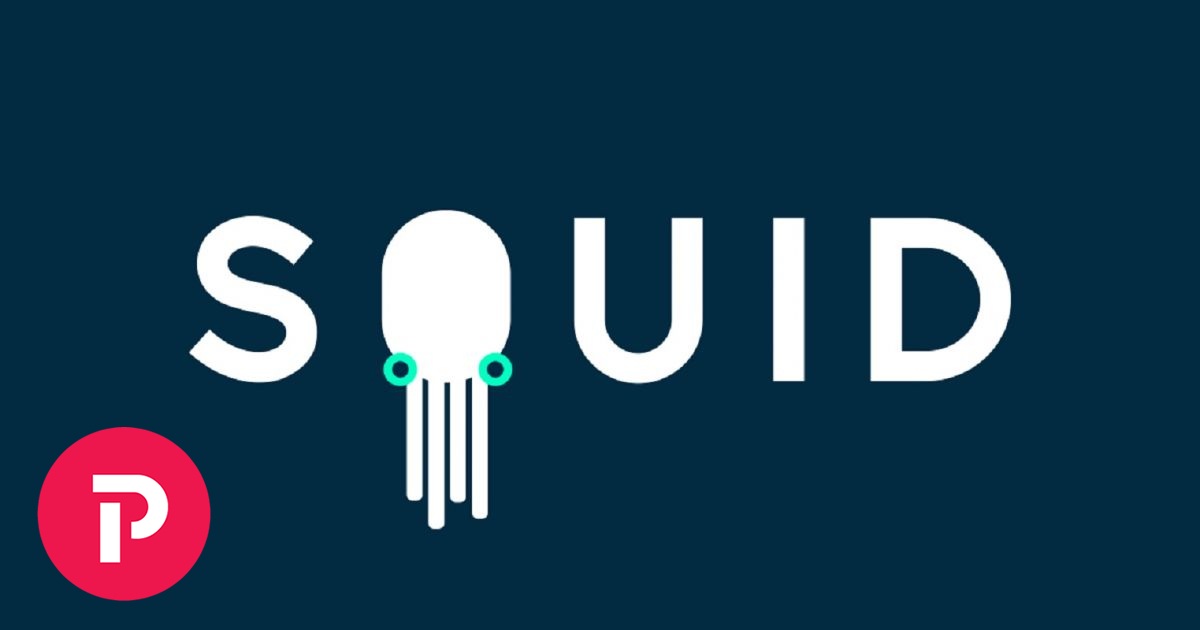 Το SQUID υποστηρίζει τους δασκάλους ξένων γλωσσών στην online διδασκαλία