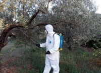 Δακοκτονία προσλήψεις: Νέες θέσεις εργασίας στη Χαλκιδική